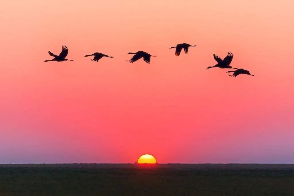 Imagen de Quietud